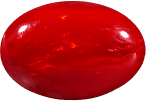 Red Coral