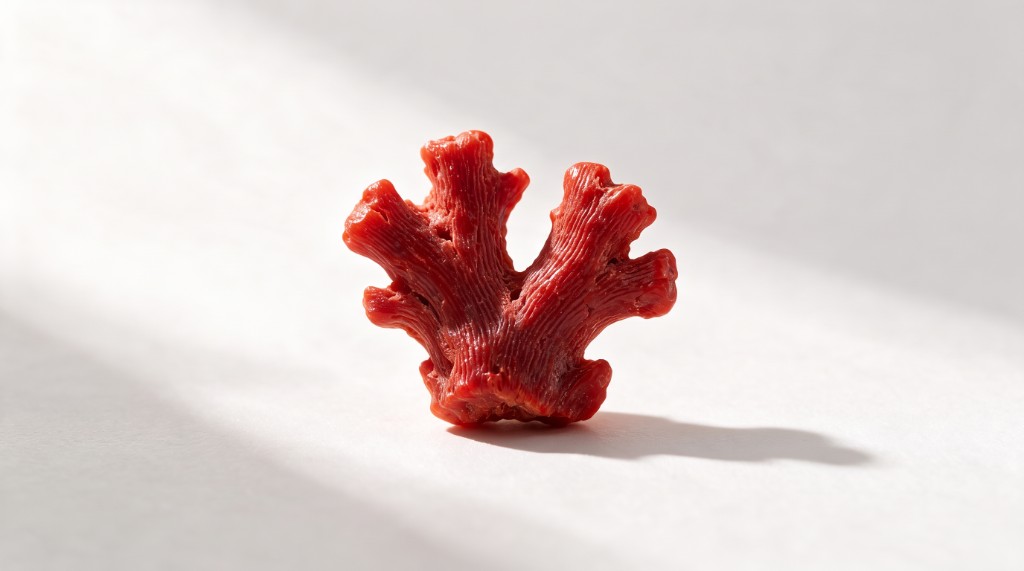 Natural untreated red coral branch